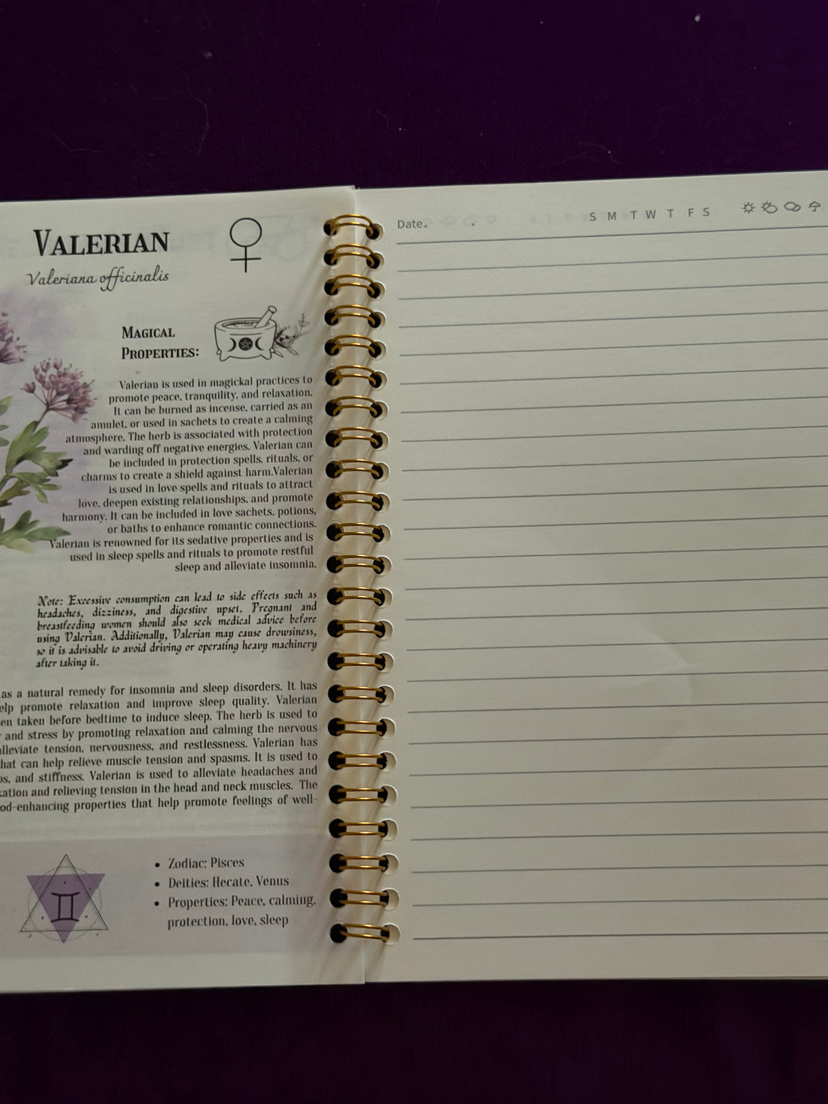 Hedge Witch – Herbal Magic Reference & Journal
