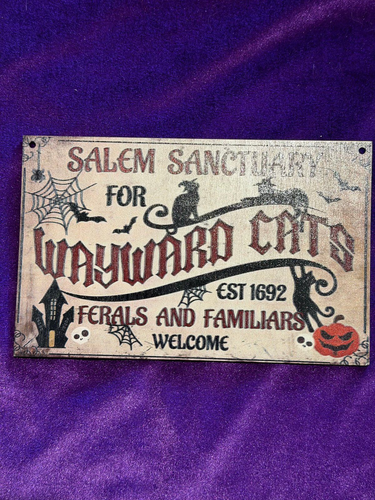 Salem Sanctuary Wayward Cats Wooden Hanging Sign