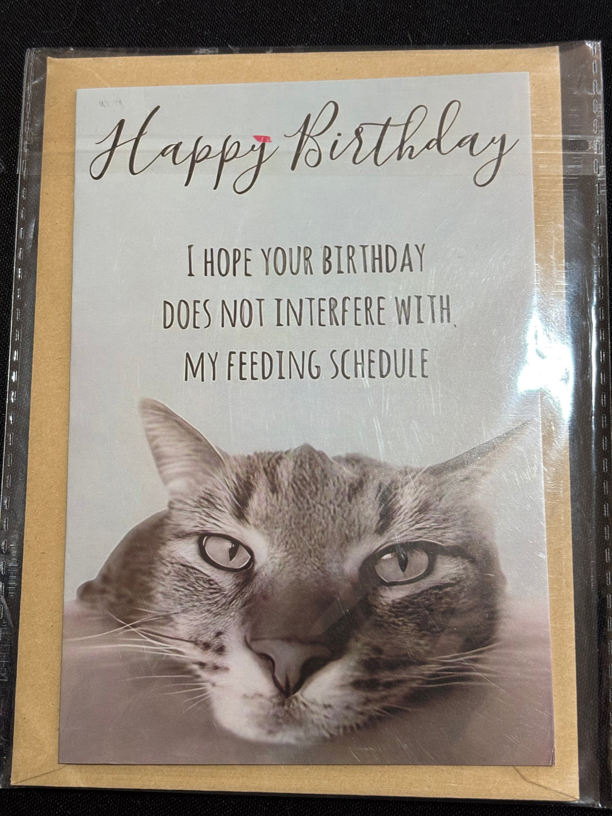 CAT FEEDING SCHEDULE HUMOROUS BIRTHDAY CARD