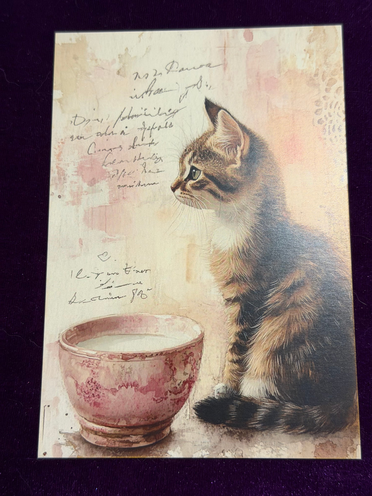Vintage Whiskers Set 5