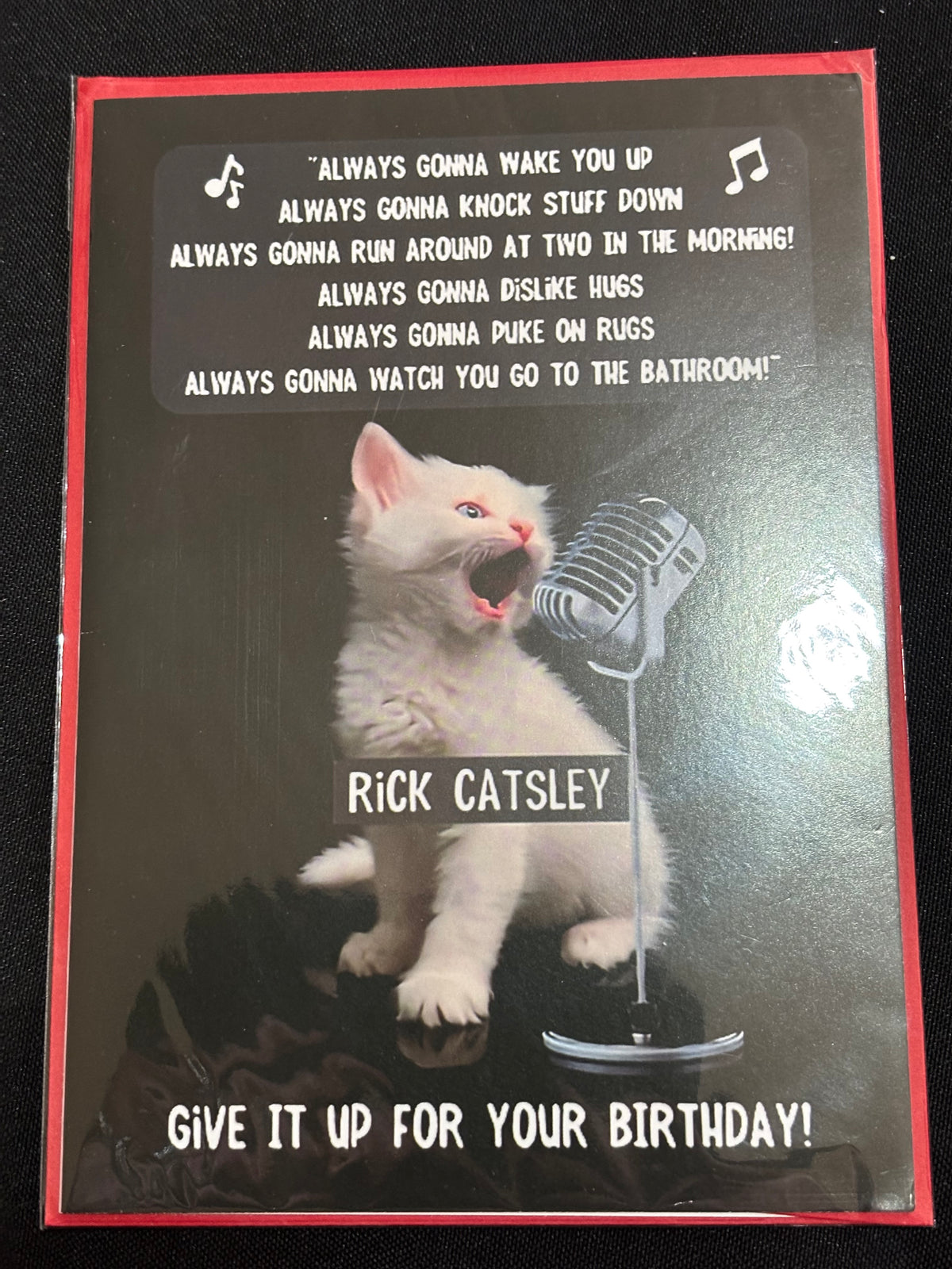 Rick Catsley Birthday Card – Funny Cat Greeting Card