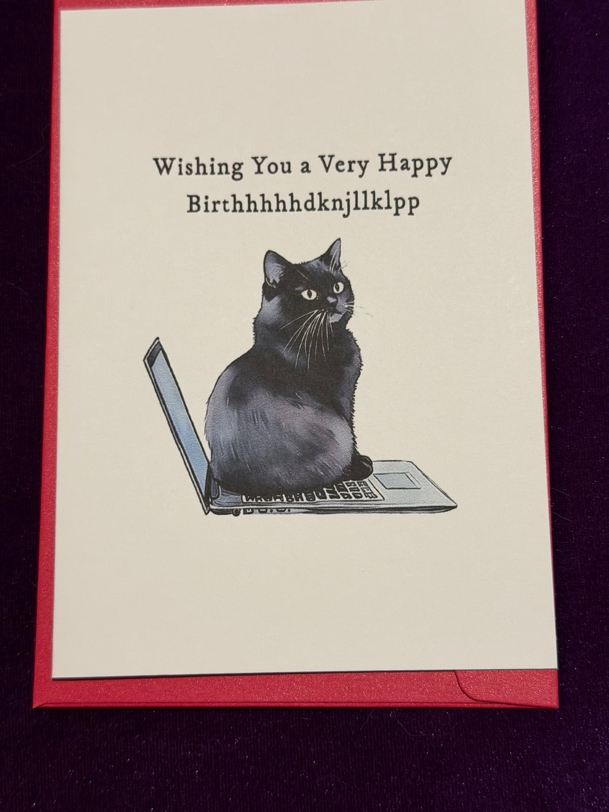 Cat Typing Birthday Card