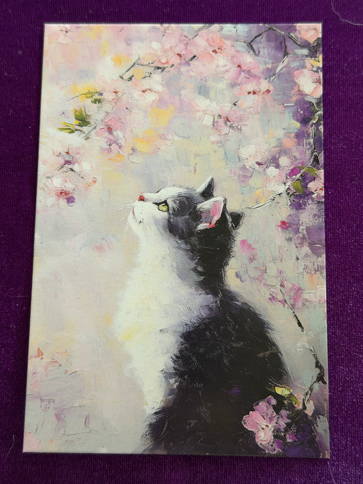 Whiskers In Bloom Set 2