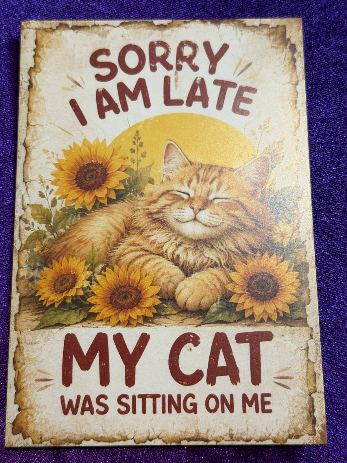 Blame The Cat Set 2