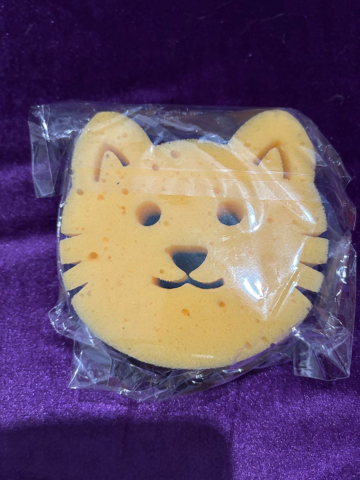 Heavy-Duty Cat Pot Scourer & Sponge