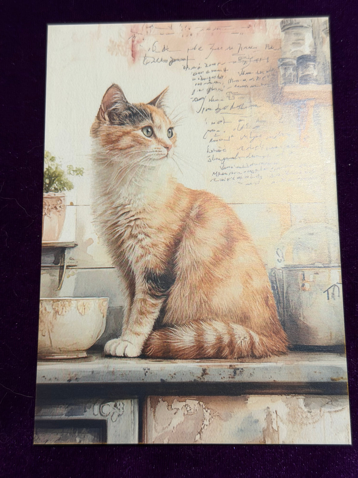 Vintage Whiskers Set 3