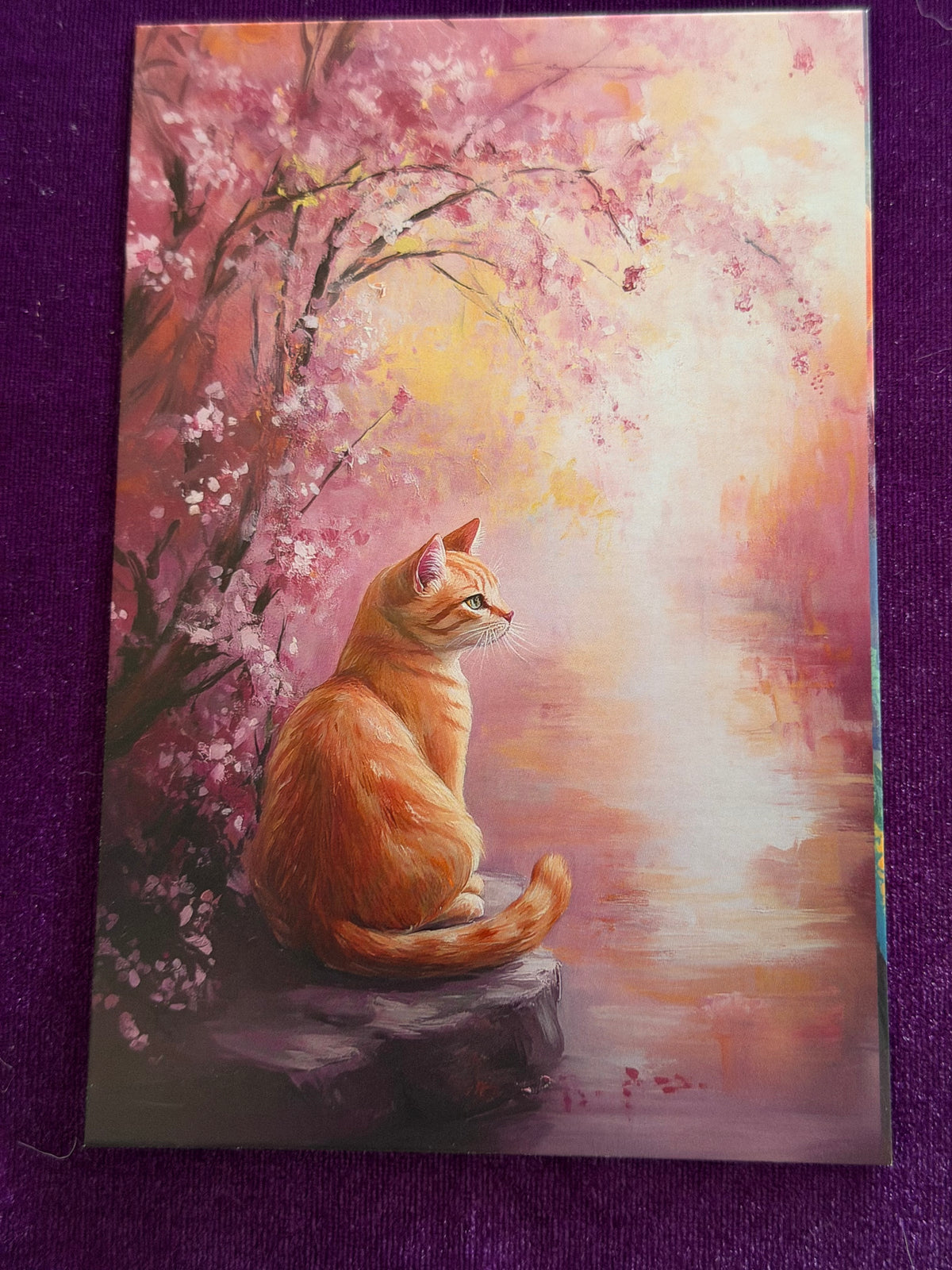 Whiskers In Bloom Set 1