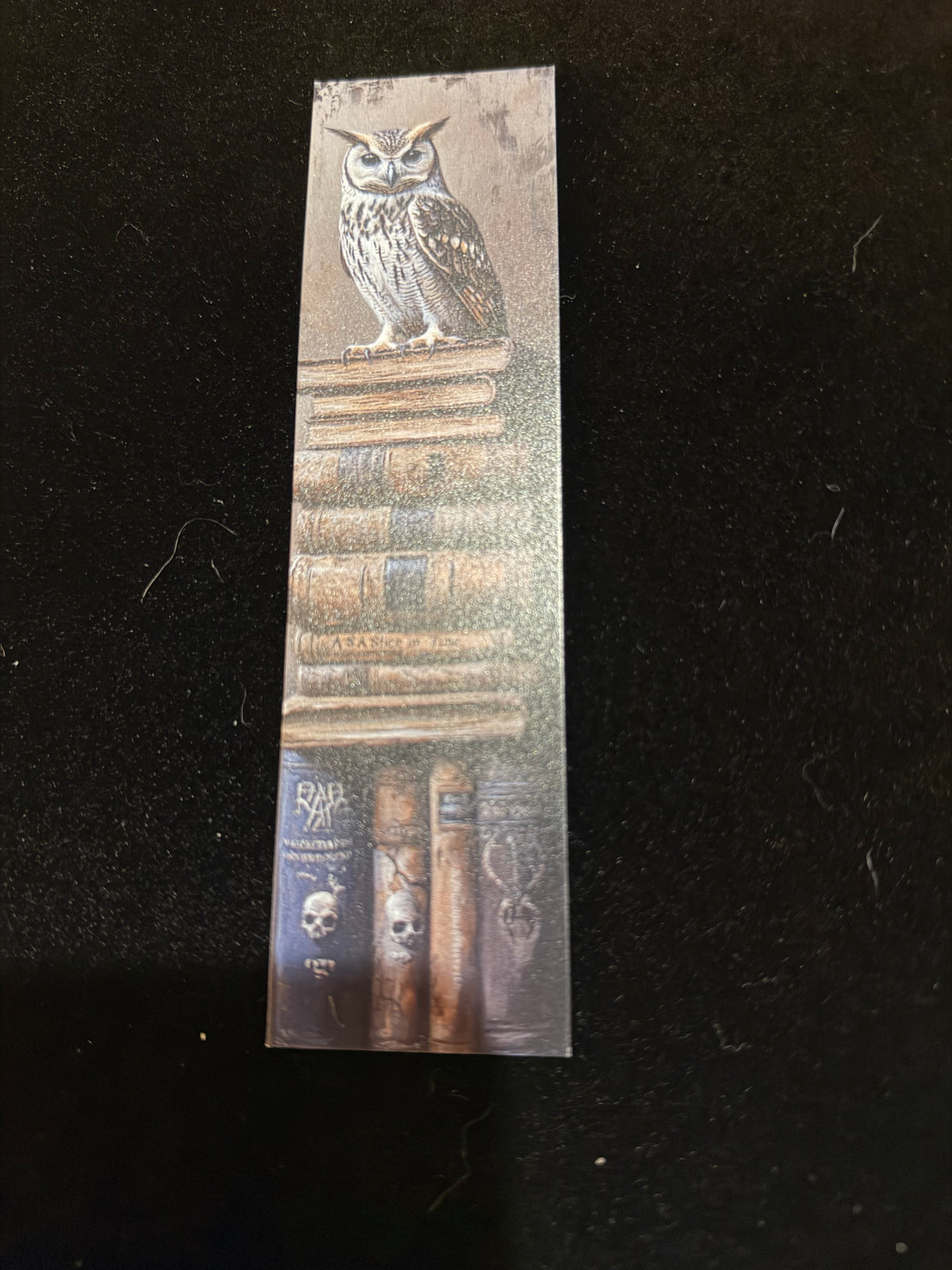 Midnight Owl Double-Sided Bookmark Set – Pack of 5
