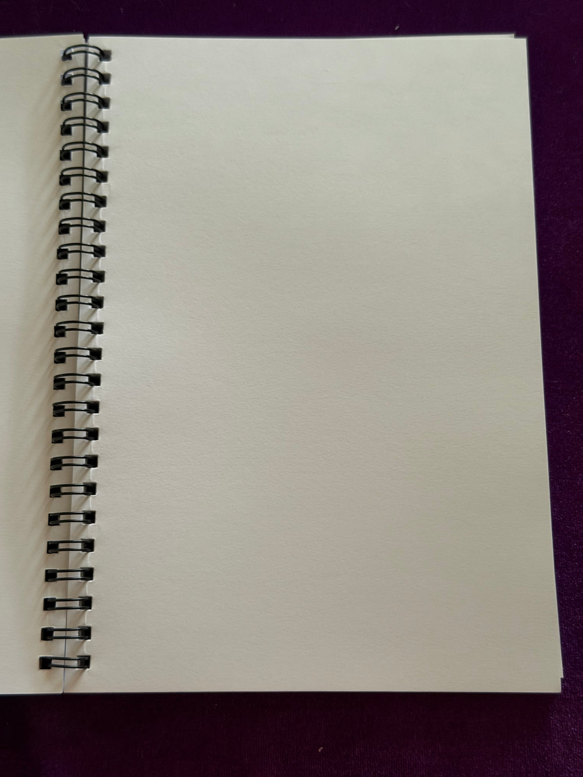 Black Cat Celestial Notebook — Blank Pages
