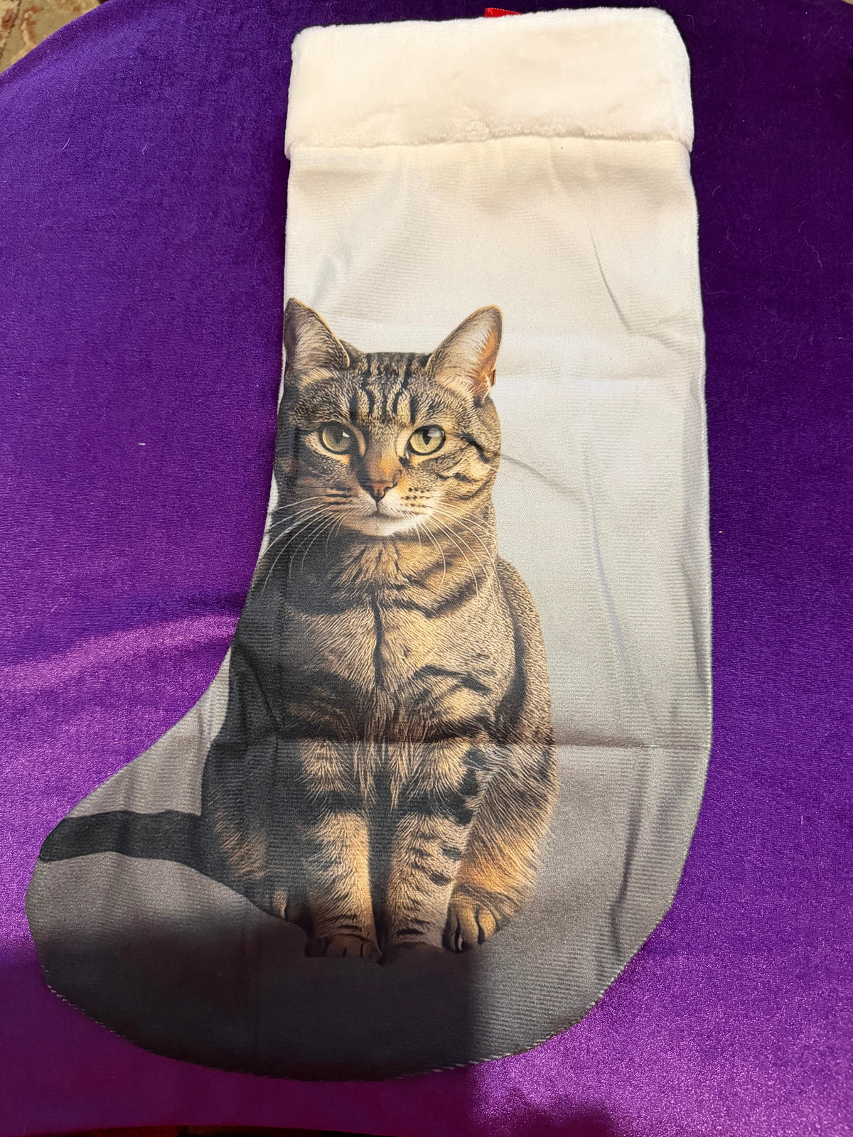Winter Tabby Cat Velvet Yule Stocking
