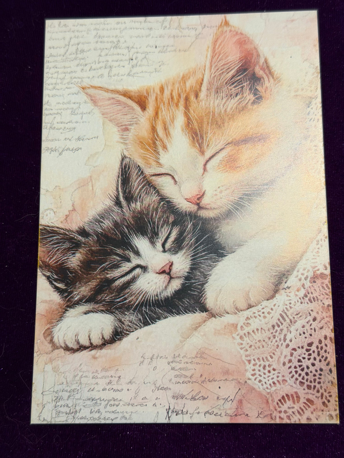 Vintage Whiskers Set 4