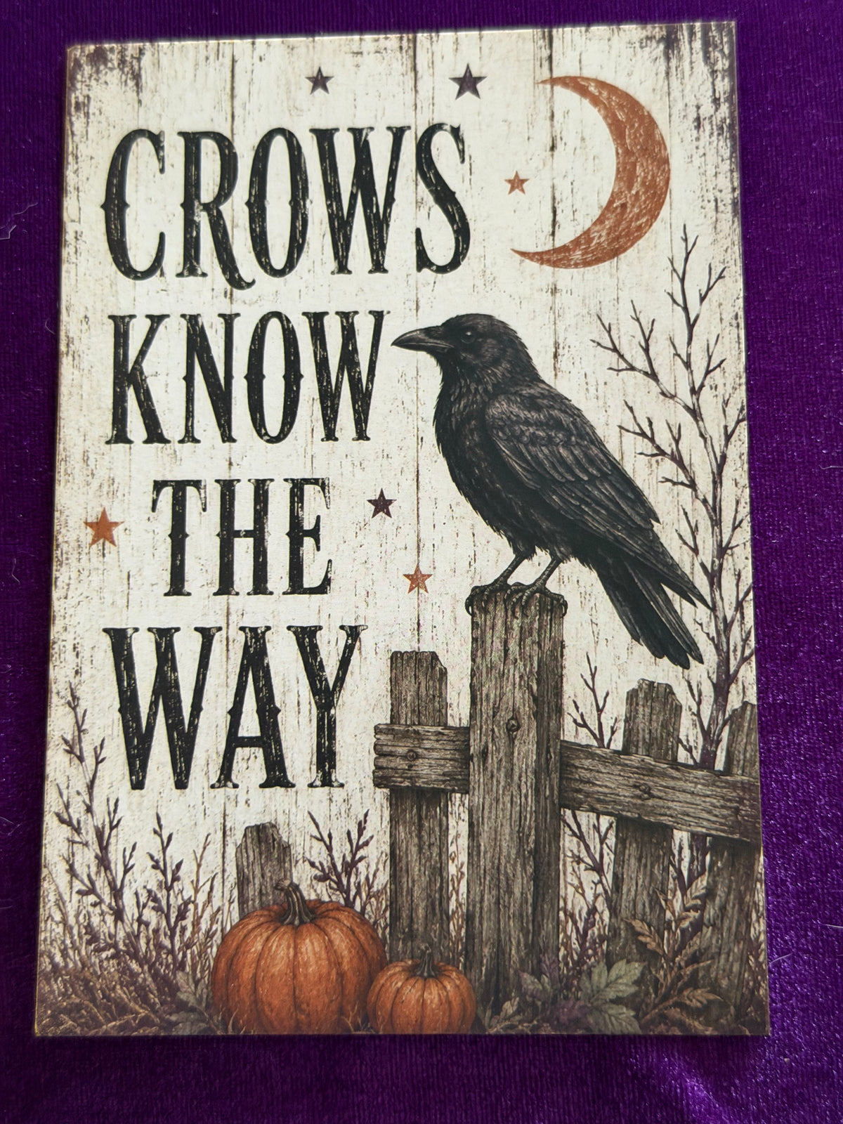 The Witches Sign Board Set 5