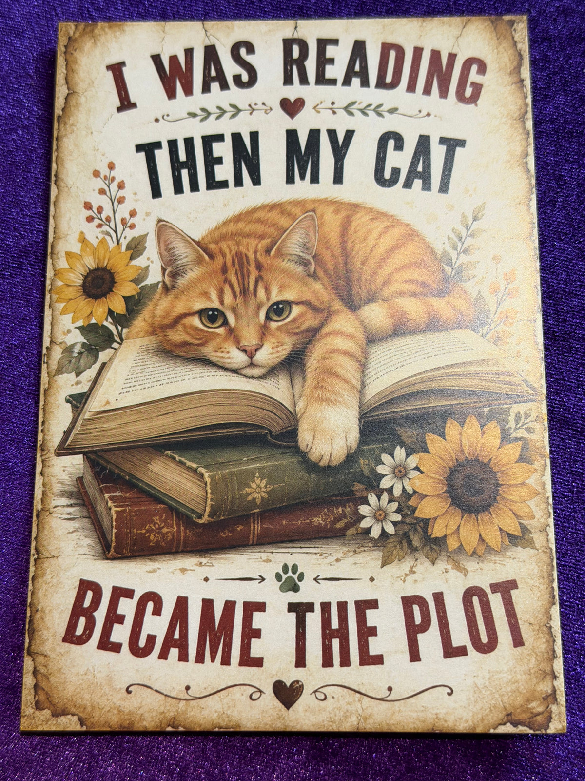 Blame The Cat Set 1