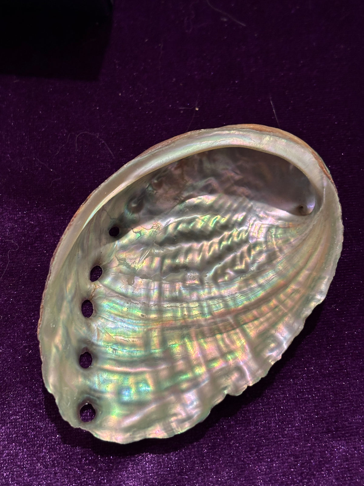 Abalone Shell Cleansing & Smudging Gift Set