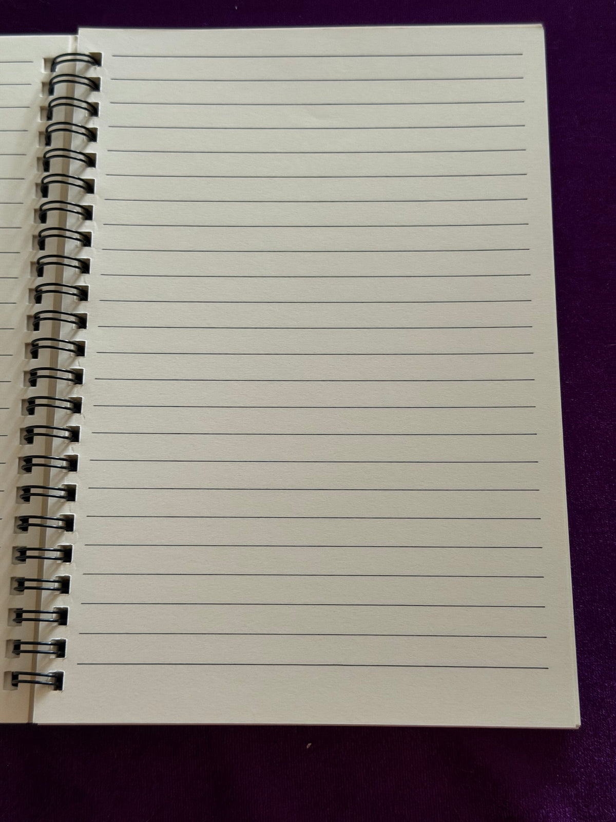 Raven’s Grimoire – Gothic Raven Notebook