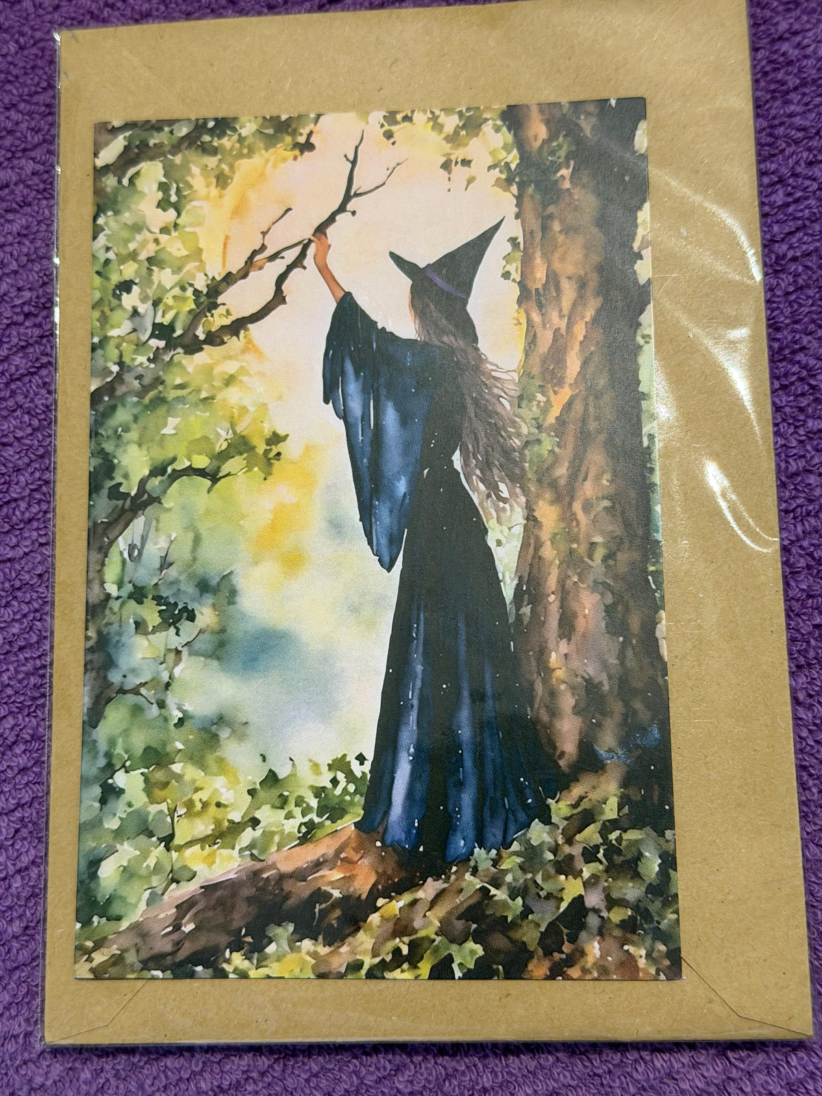 A Witches Life Collection Greeting Card