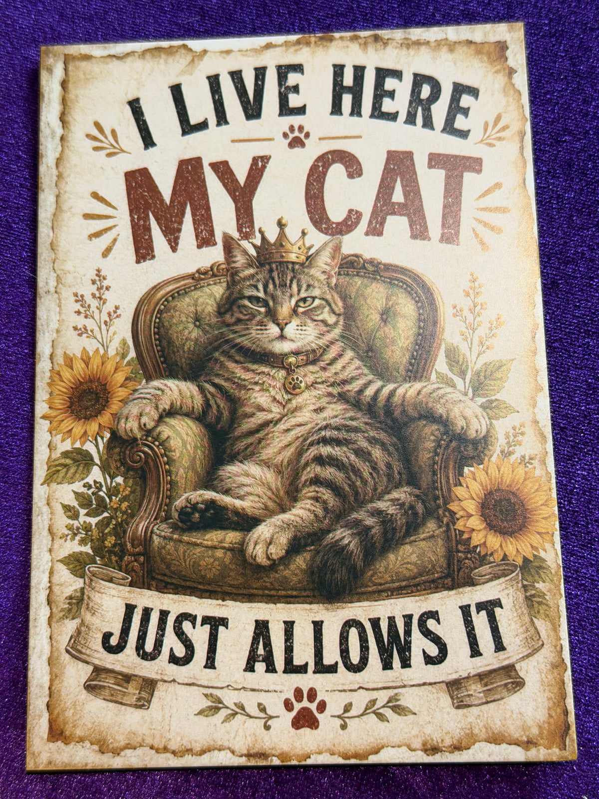 Blame The Cat Set 1