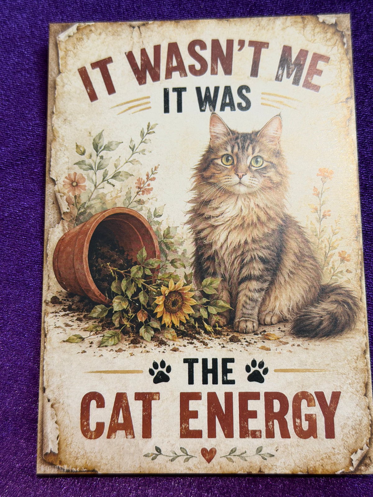 Blame The Cat Set 5