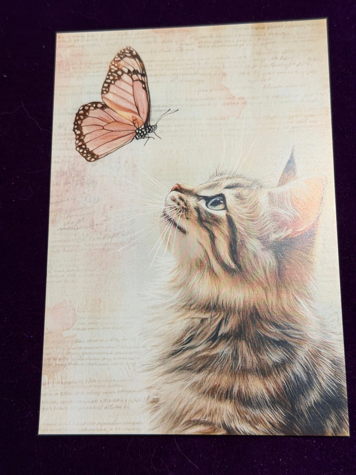 Vintage Whiskers Set 5