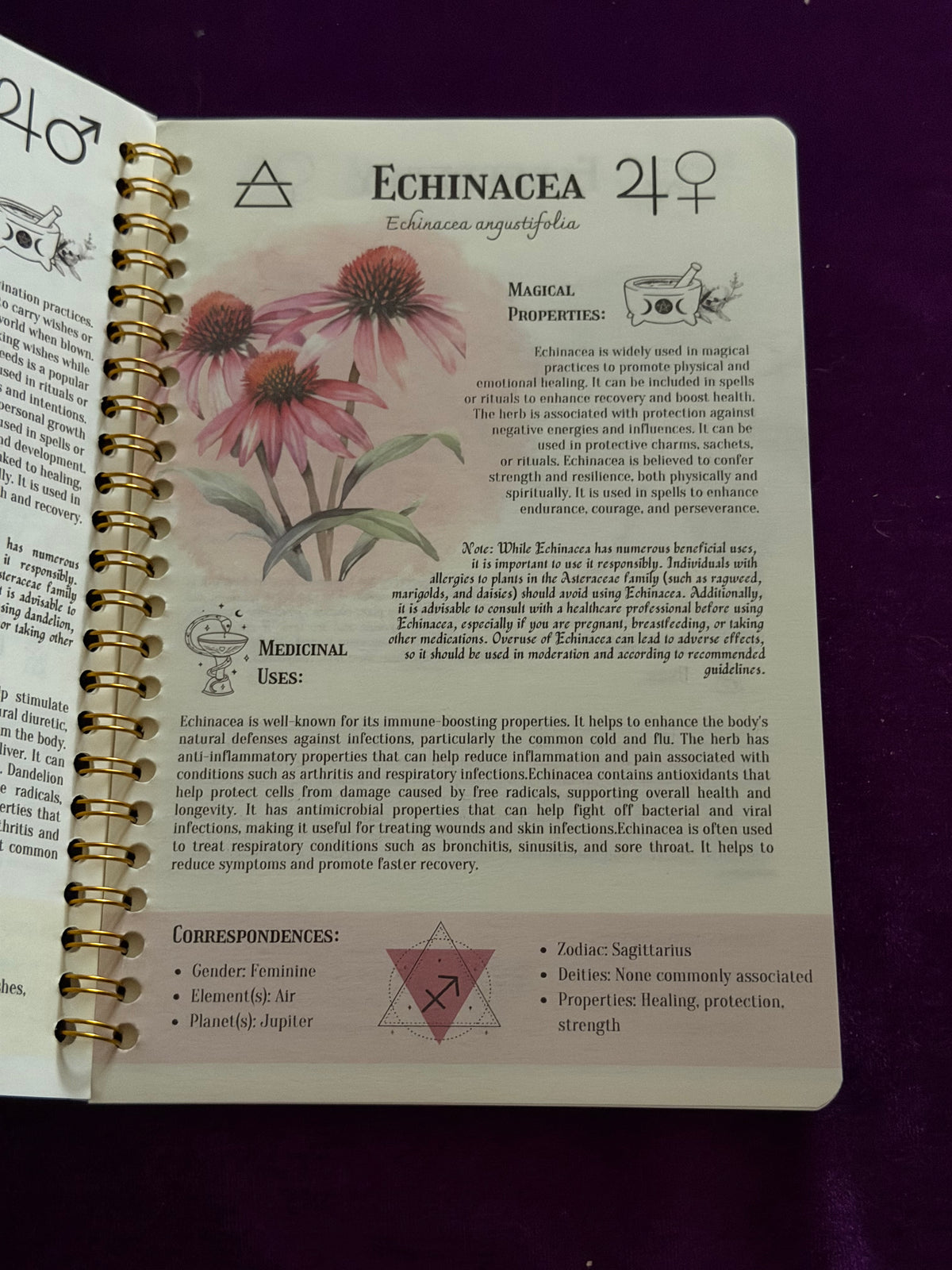 Hedge Witch – Herbal Magic Reference & Journal
