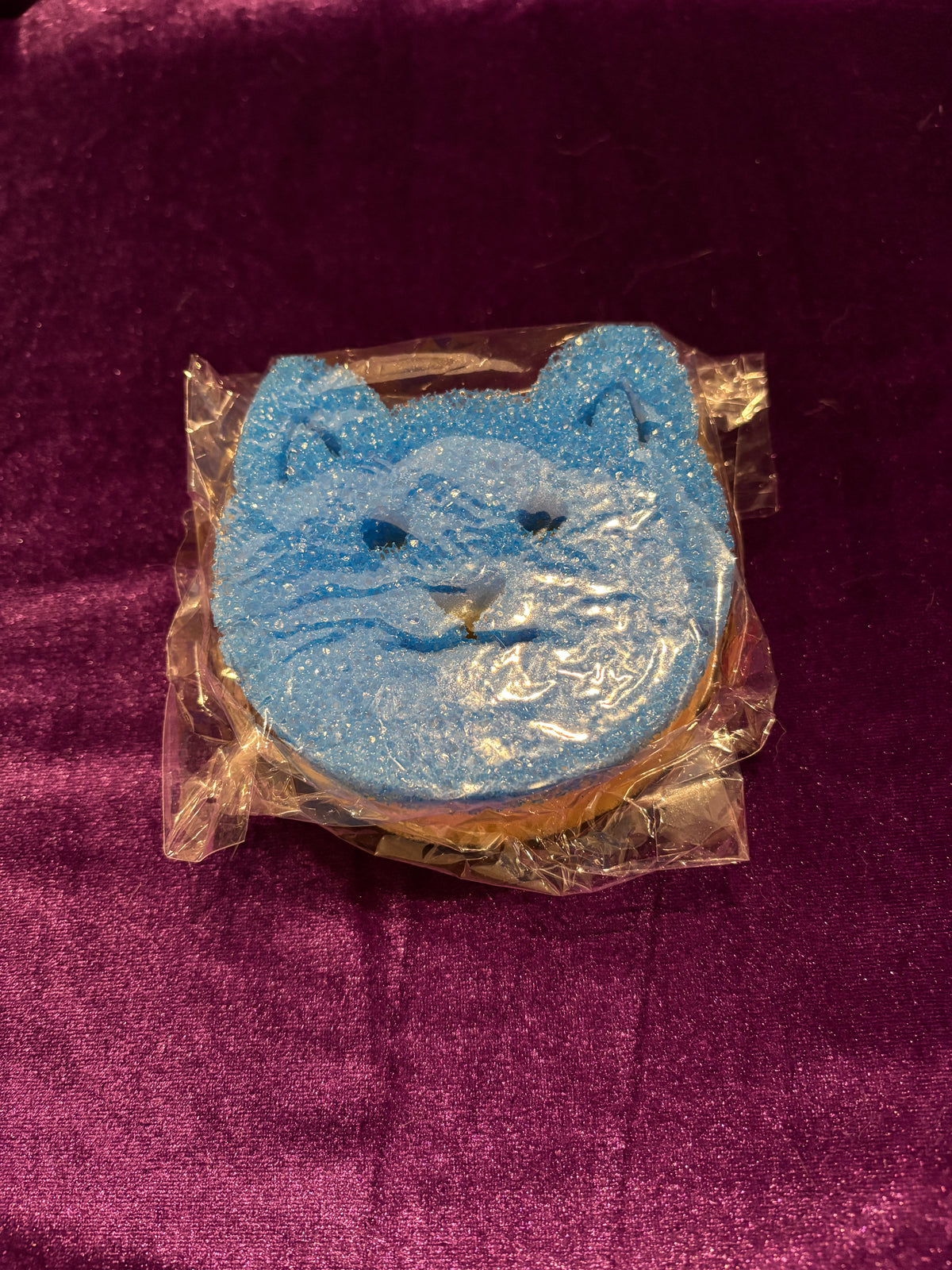Heavy-Duty Cat Pot Scourer & Sponge