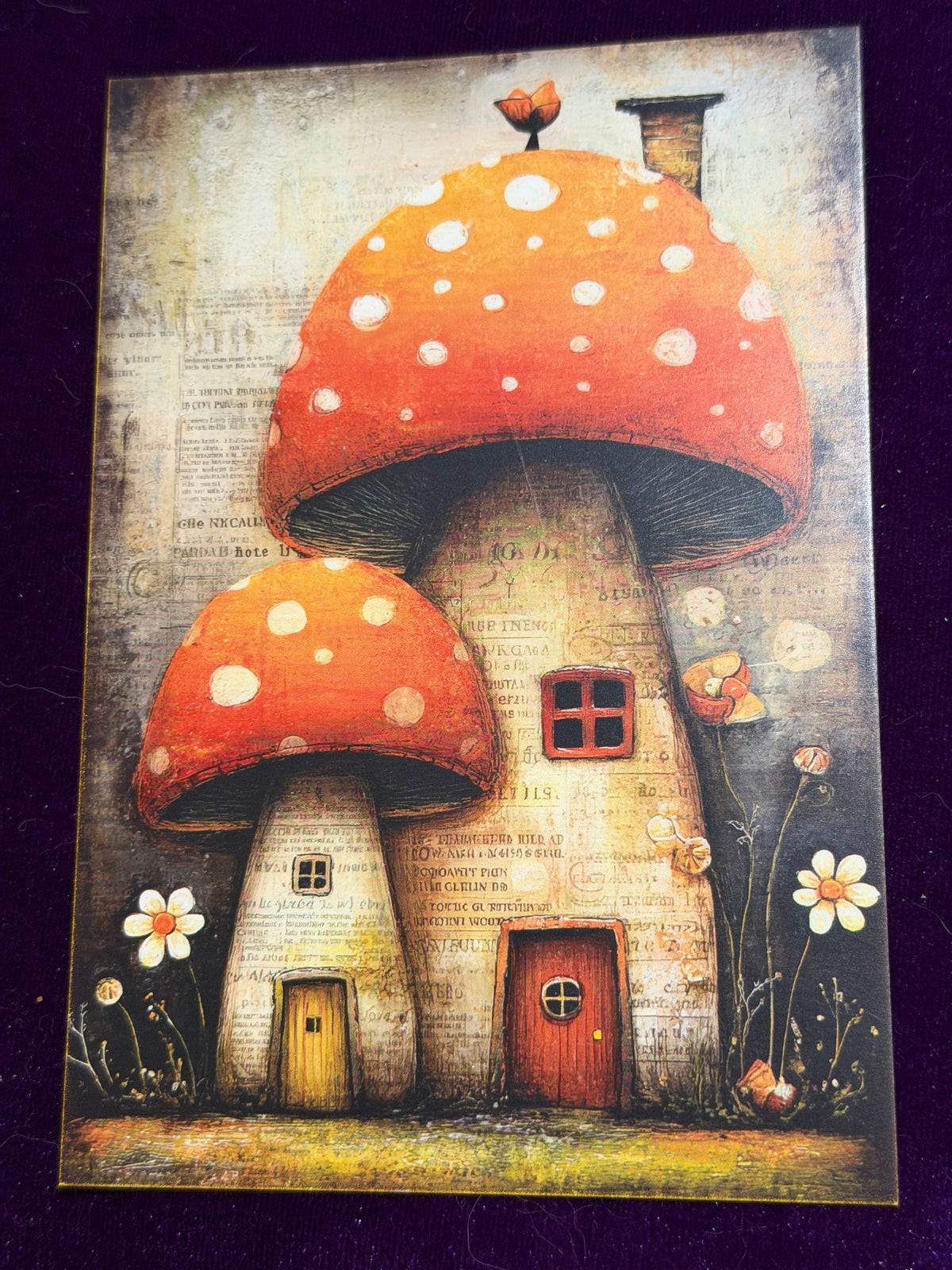 Odd Little Wonders Set 4