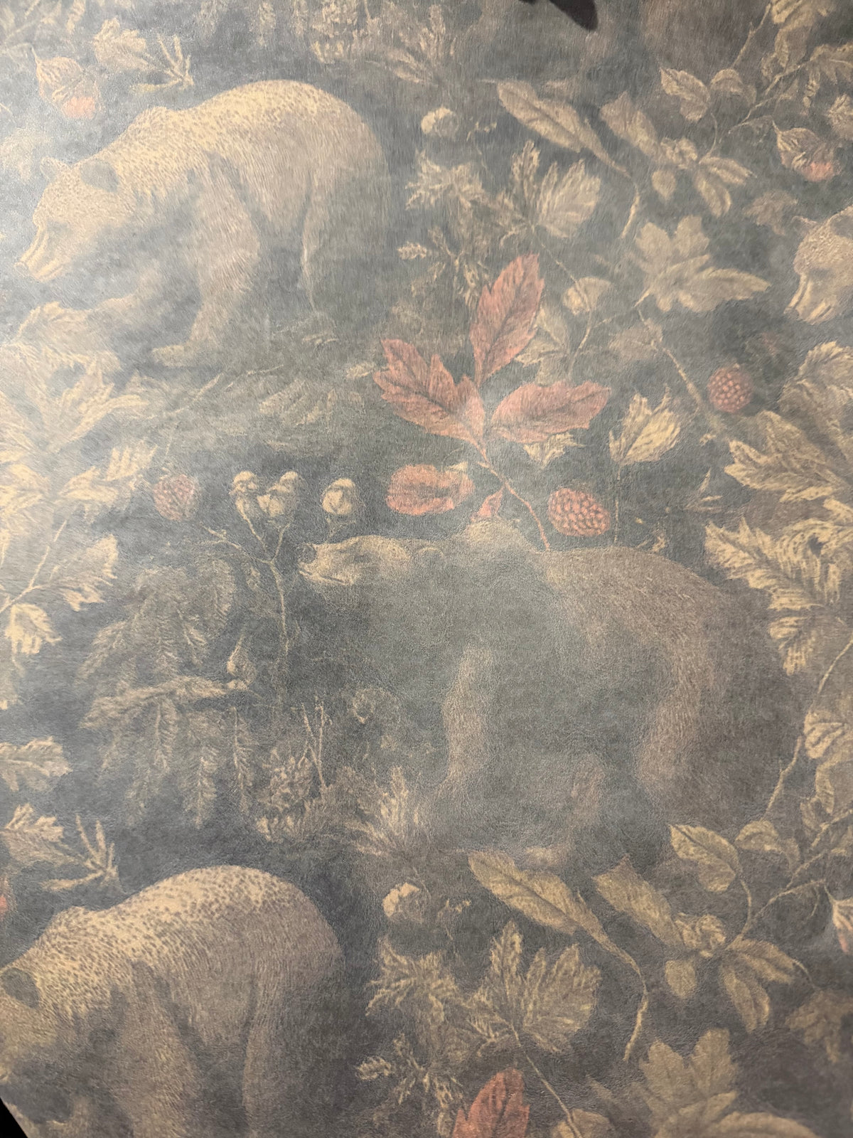 Woodland Bears Wrapping Paper — 5 Metre Roll
