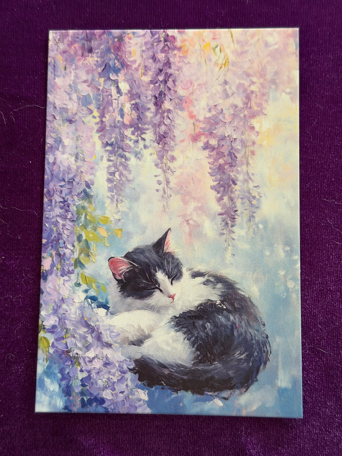 Whiskers In Bloom Set 1