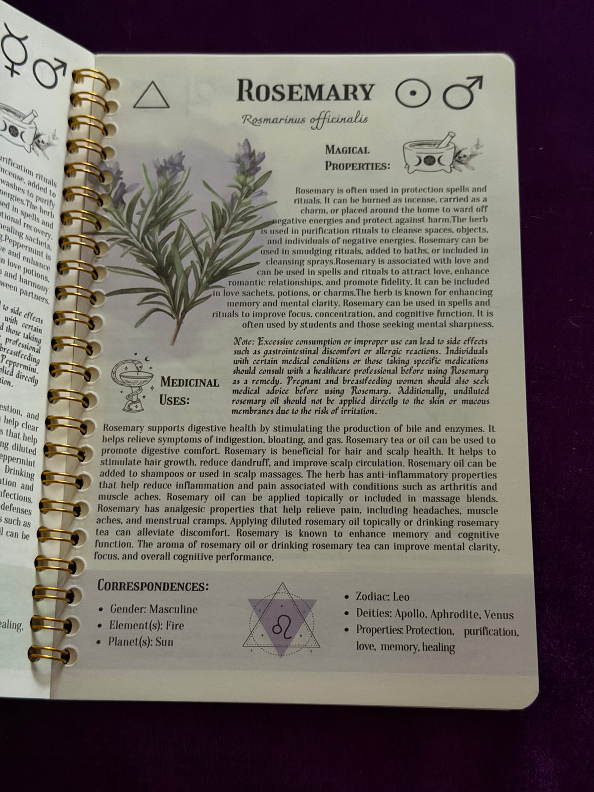 Hedge Witch – Herbal Magic Reference & Journal
