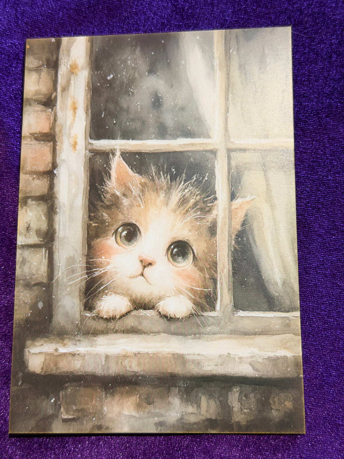 Whiskers In Watercolour Set 3