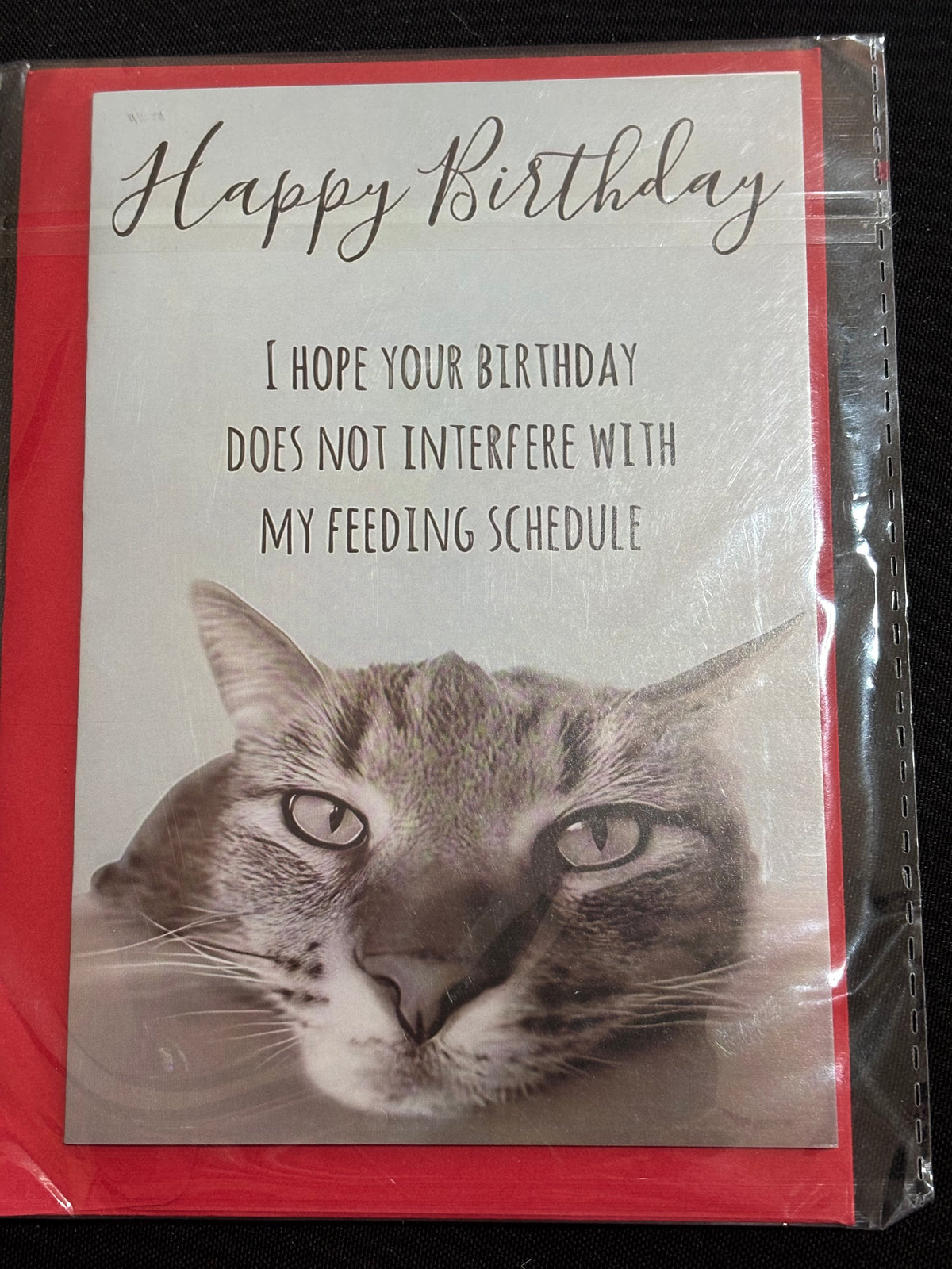 CAT FEEDING SCHEDULE HUMOROUS BIRTHDAY CARD