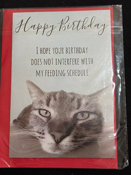 CAT FEEDING SCHEDULE HUMOROUS BIRTHDAY CARD