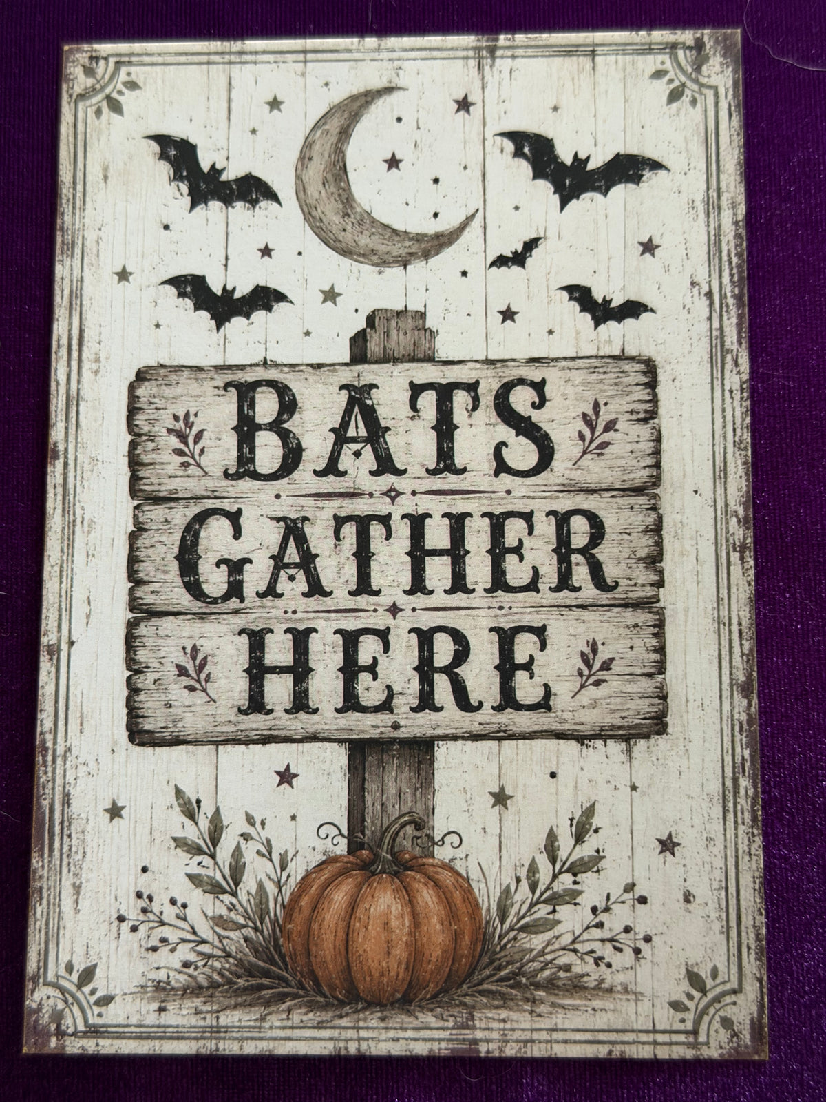 The Witches Sign Board Set 1