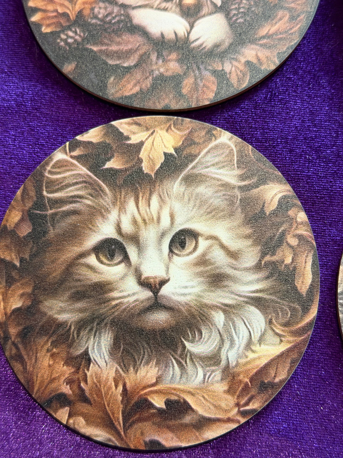 Autumn Cats Wooden Coasters – Set of Six