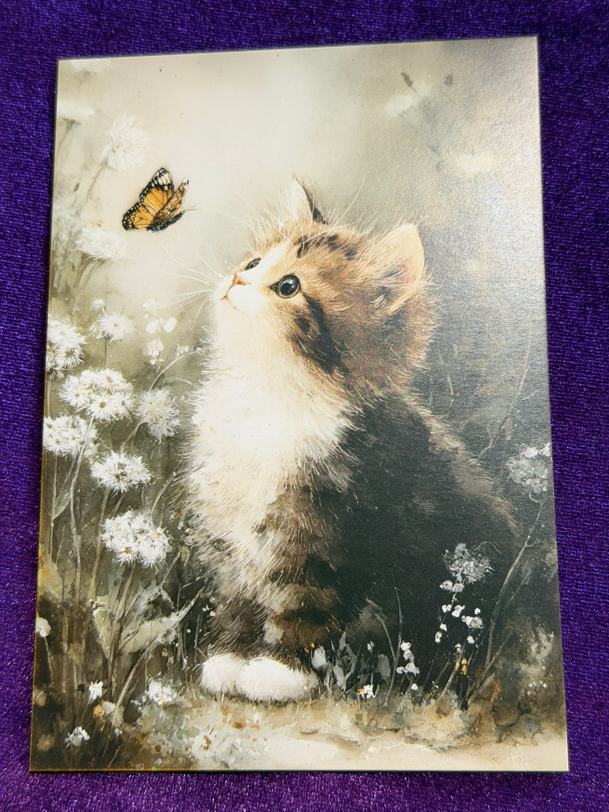 Whiskers In Watercolour Set 2