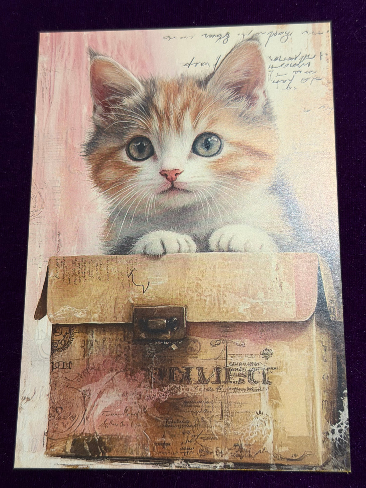 Vintage Whiskers Set 2