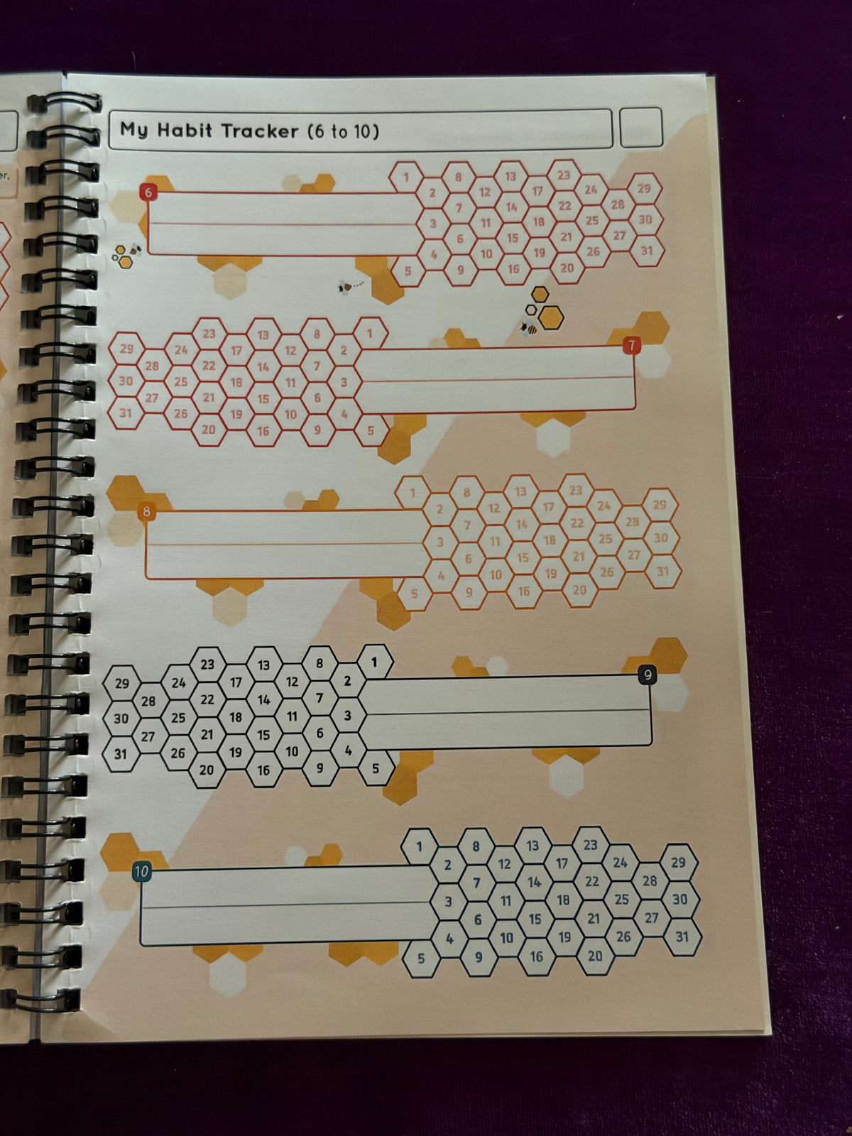 Witchy Weight Loss & Wellness Journal – Spiral-Bound Planner