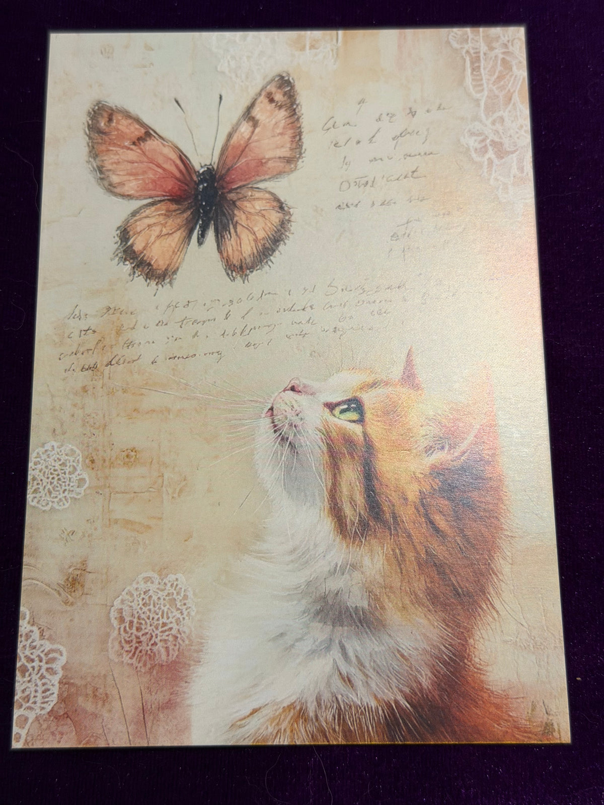 Vintage Whiskers Set 3