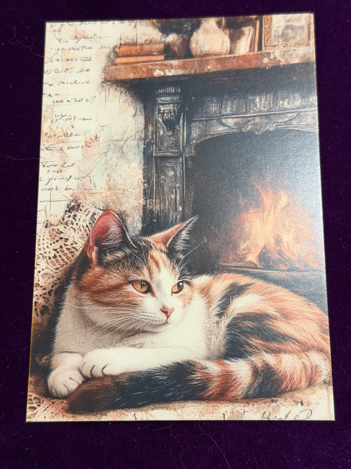 Vintage Whiskers Set 4