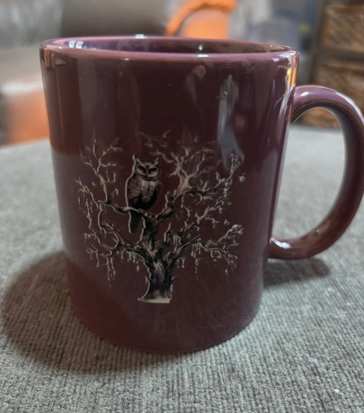 Witch’s Hat & Owl Purple Mug