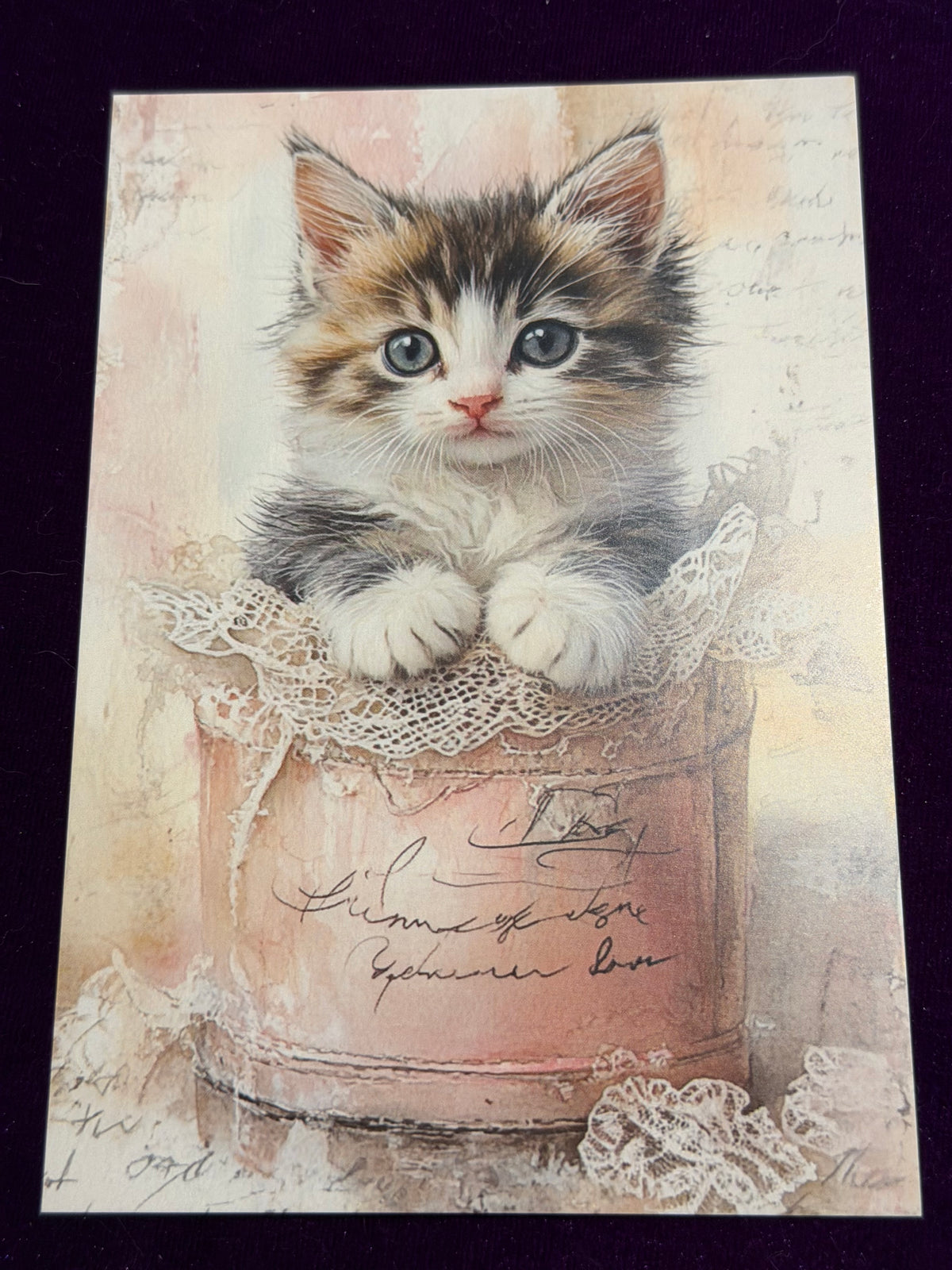 Vintage Whiskers Set 5