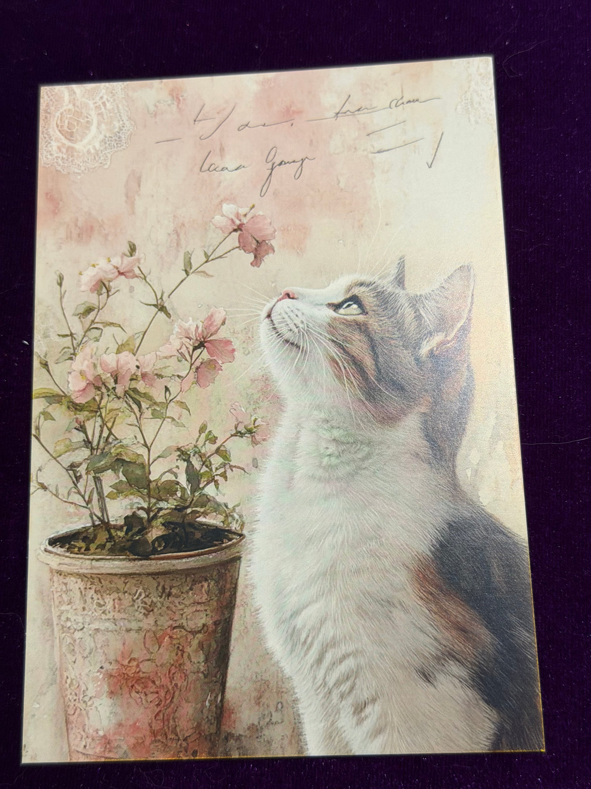 Vintage Whiskers Set 2
