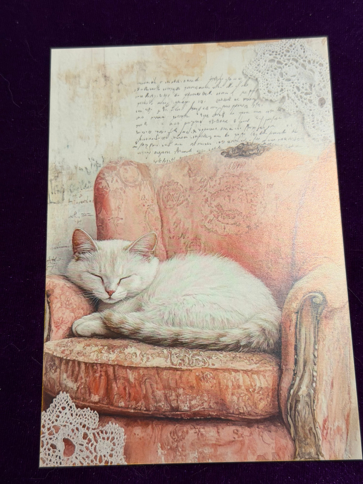 Vintage Whiskers Set 4