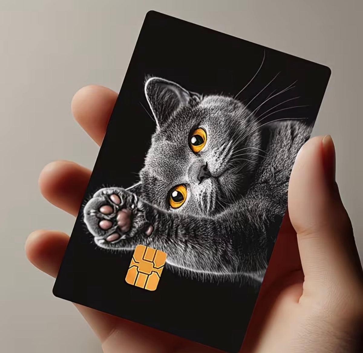 Curious Grey Cat Bank Card Skin