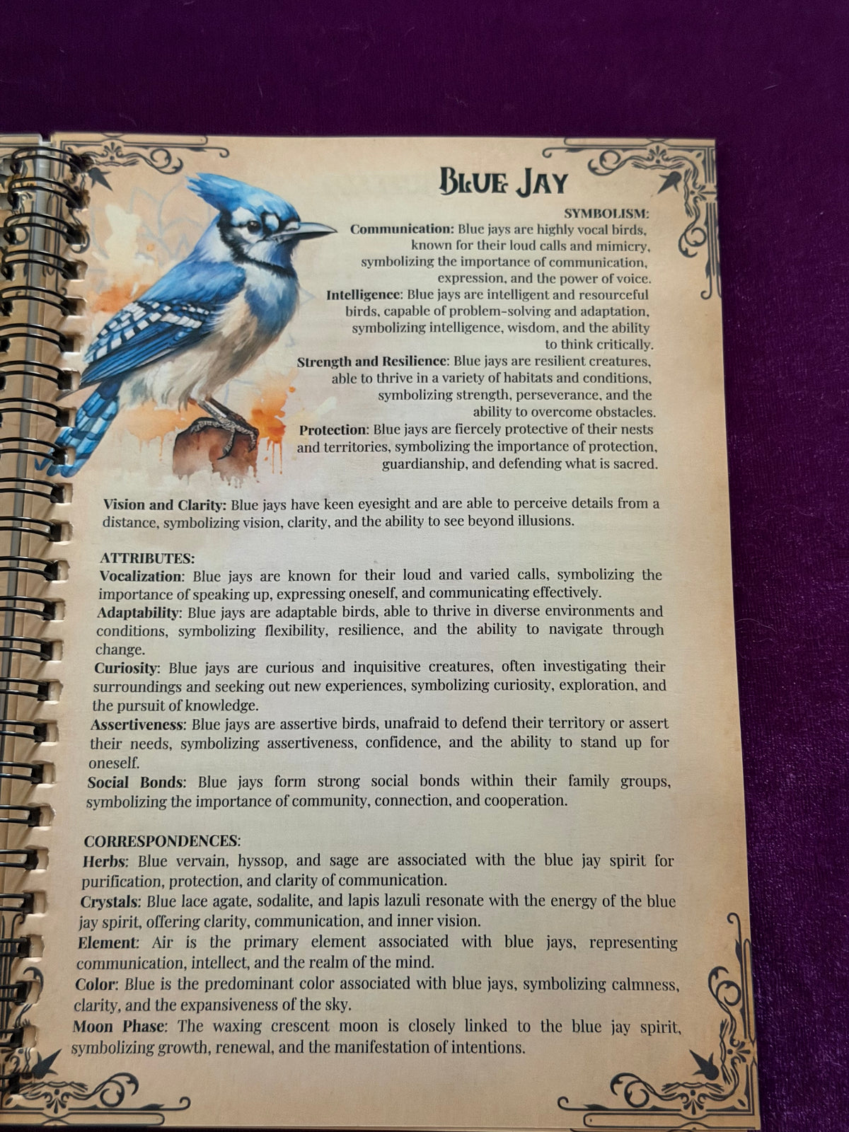 Spirit Animals – Symbolism, Attributes & Correspondences
