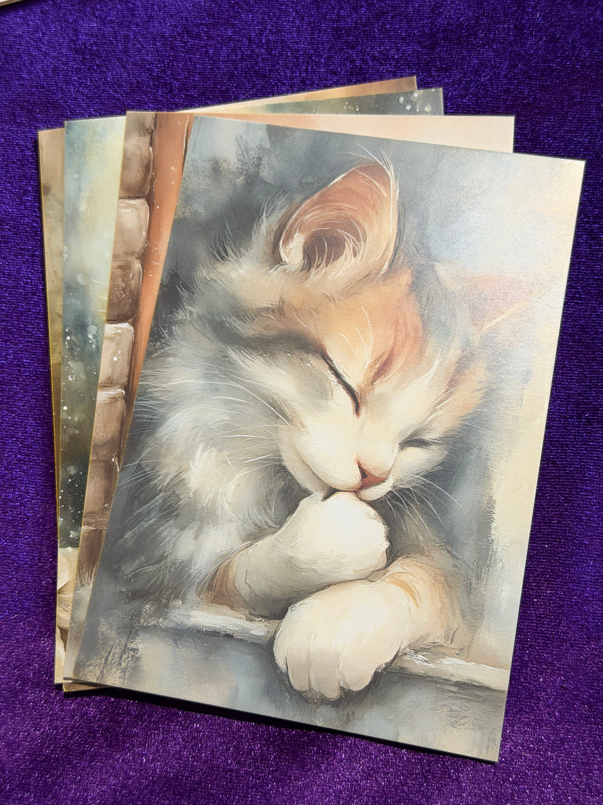 Whiskers In Watercolour Set 5