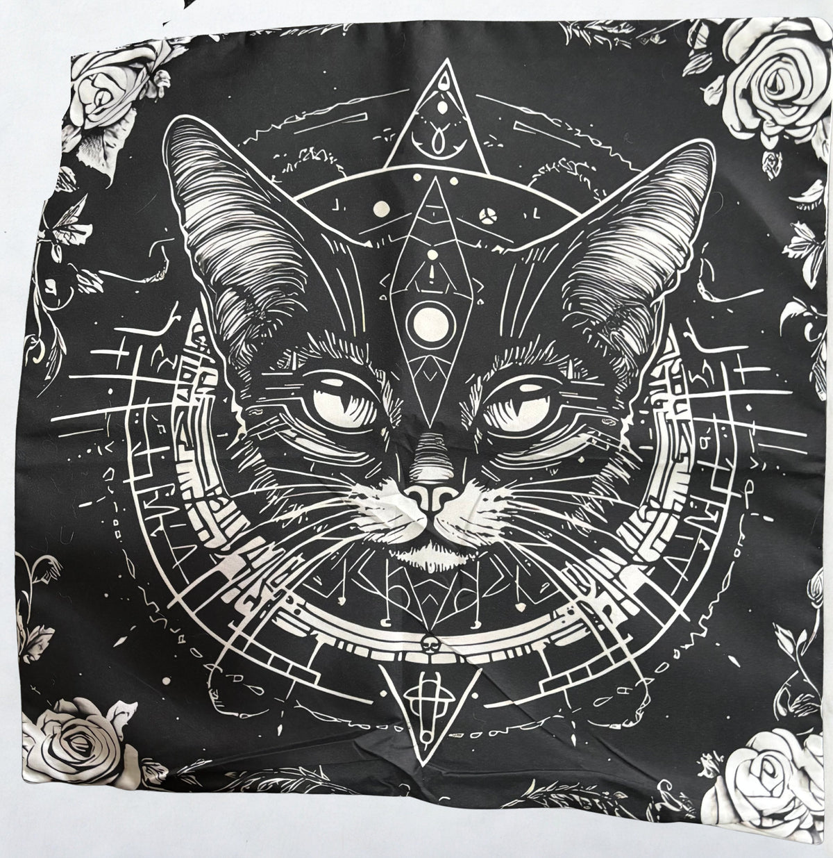 Enchanted Familiar Cushion Cover
