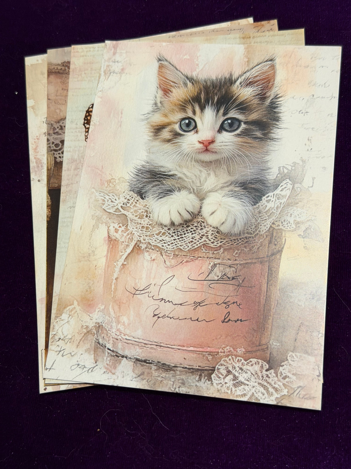 Vintage Whiskers Set 5