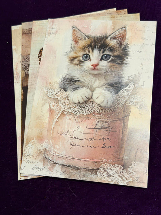 Vintage Whiskers Set 5