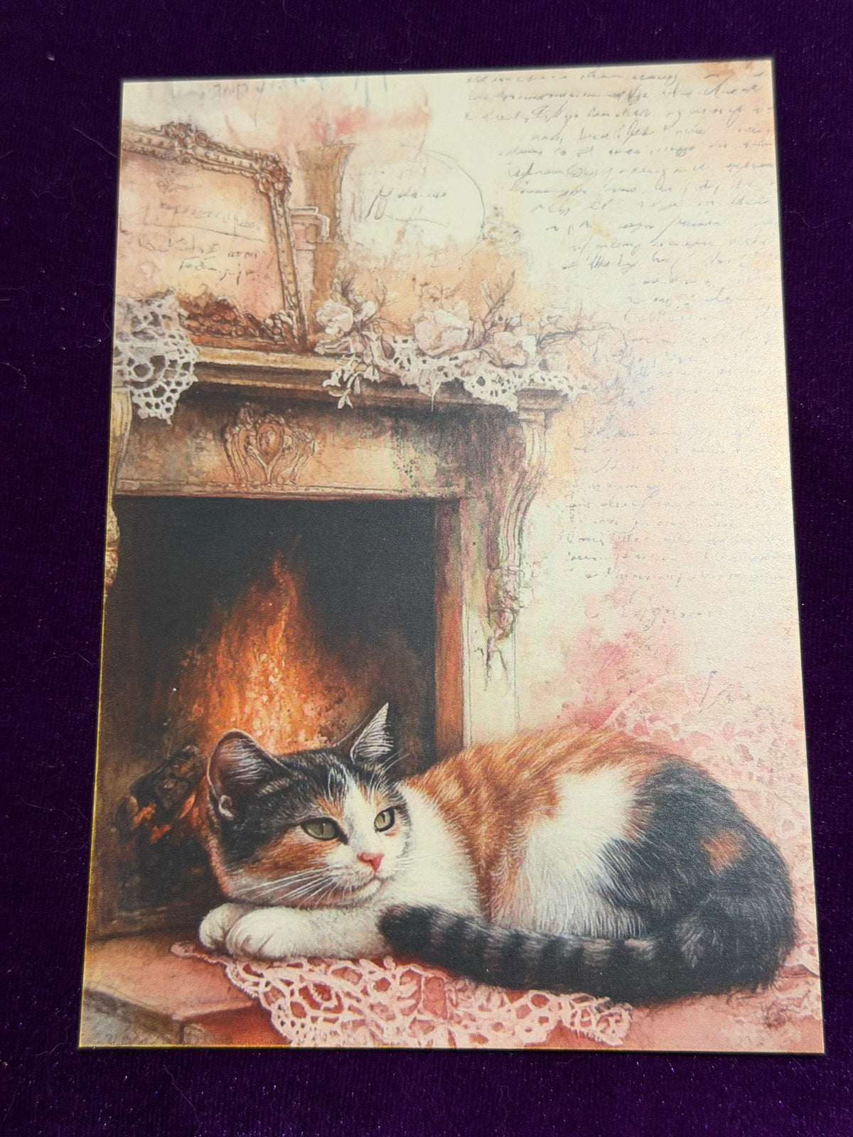 Vintage Whiskers Set 5